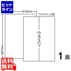 y}\z11/11 AM1:59܂ iiNGCg }`^Cvpx 297mm×210mm A4 297mm×210mm 500V[g(100V[g×5) CLT7