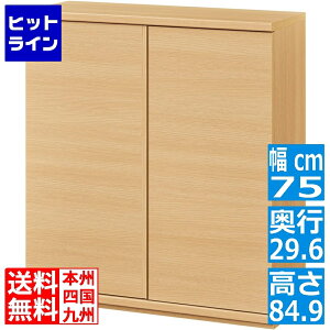 ����Y�� �J�E���^�[�����[ �L���r�l�b�g ���^�C�v ��75cm ���s29.6cm ����84.9cm PTS-8575D �s�^�V�G
