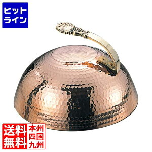 ] SA ۃXe[LJo[ 24cm 2042100 5-1793-0301