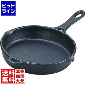 【04/27 09:59まで、お買い物マラソン】 岩鋳 鉄 フライパン17cm 24010 IH対応 南部鉄器