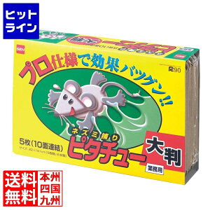 vGgy12/1蓖Im21I1ő100%|CgobNz@ Zn[Wp USV[g lY~߂ s^`[ 唻