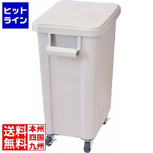 �v�G���g���y12/20 24���Ԍ��蓖�I�m��2����1�I1���ő�100%�|�C���g�o�b�N�z�@ ���X���� ���X �~�[�p�L���X�^�[�y�[��(�r����t) 70�^ �O���[ KDS8505