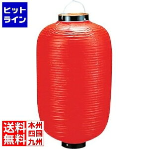 vGgy12/5 24Ԍ蓖Im21I1ő100%|CgobNz@ RX rj[񓔒^ s15t ԃx^ YTY01153Q