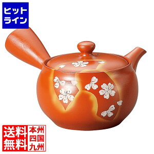 x Dъېʍ}{ Y805 EKY2201