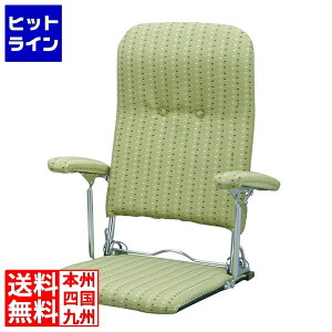 ܂肽ݍ֎q YS-1046 O[ 101046002 {쏊 | WK[hD Iu