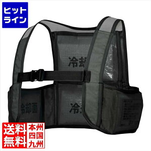 �A�C�g�X �A�C�X�x�X�g(�A�C�X�p�b�N4�t) AZ-865948-010 SKT9701