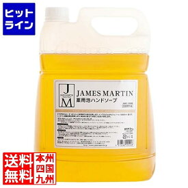 ジェームズマーティン 薬用ハンドソープ詰め替え用5kg(注ぎ口別売)30091 2415050