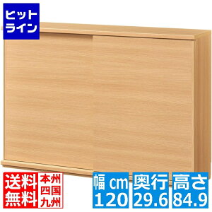 yX[p[SALEz9/11 AM1:59܂ JE^[[ bN ˃^Cv Lrlbg ؐ VvȃfUC i`uE 120 s29.6 84.9cm Y PTS-8512SD NA s^VG