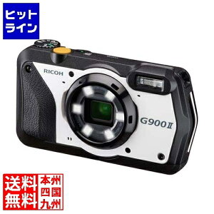 vGgy11/25 24Ԍ蓖Im21I1ő100%|CgobNz@ R[ G900II