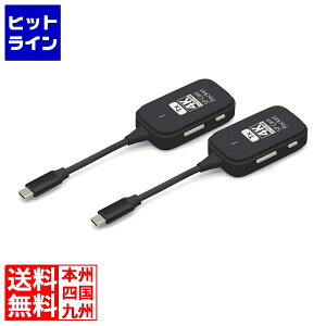 �v�����X�g�� 4K�Ή����C�����X�v���[���e�[�V���� USB-C�q�@×2��Z�b�g SPCASTPOCKET4K-C1SET