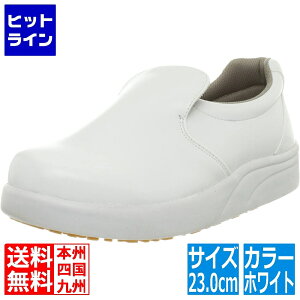 OiS Oi VFtCgXj[J[-100  23cm