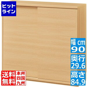 �v�G���g���y12/5 24���Ԍ��蓖�I�m��2����1�I1���ő�100%�|�C���g�o�b�N�z�@ ����Y�� �L���r�l�b�g �J�E���^�[�����[ ���� ��90 ���s29.6 ����84.9cm PTS-8590SD PTS-8590SD