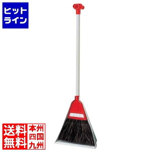 vGgy11/20 24Ԍ蓖Im21I1ő100%|CgobNz@ AY}H ƂZbg `g[ bh 260×210×H820 017424002