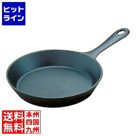 【04/27 09:59まで、お買い物マラソン】 岩鋳 ファミリーパン 14cm 24014 IH対応 南部鉄器