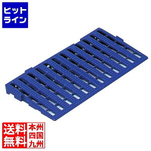 岐阜プラスチック工業 セパレート スノコ(スロープ)600×300