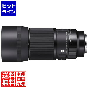 �V�O�} 105/2.8 DG DN MACRO ART �\�j�[E 105F2.8 DG DN MACRO/SE
