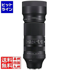 �V�O�} 100-400mm F5-6.3 DG DN OS �t�W�t�C����