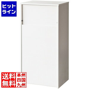 vGgy11/20 24Ԍ蓖Im21I1ő100%|CgobNz@ LX^[_Xg{bNX 45 45 DB-F1100 zCg {쏊 | vbV LX^[t