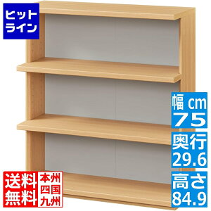 JE^[[ I[vbN I ؐ jbg[ i`uE 75 s29.6 84.9cm Y PTS-8575R NA s^VG