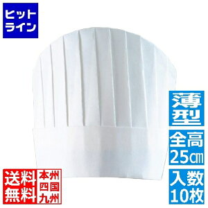 PAL �p���X�n�b�g(10����)PH-115NT ���^ 25cm