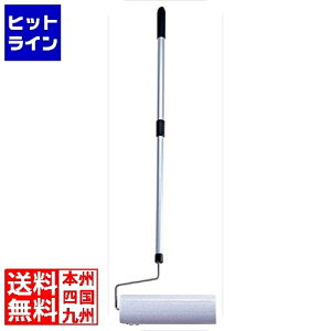 vGgy12/5 24Ԍ蓖Im21I1ő100%|CgobNz@ ƖpS~g[[