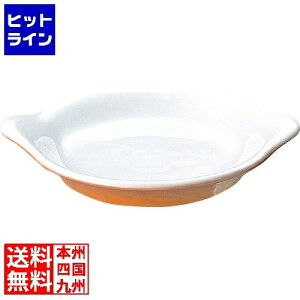 vGgy12/1蓖Im21I1ő100%|CgobNz@ C ^ ێtO^M No.605 18cm J[