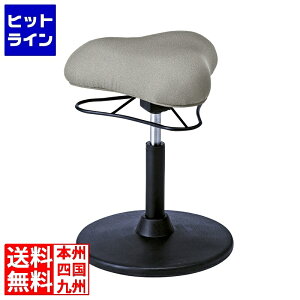 vGgy11/10蓖Im21I1ő100%|CgobNz@ v|[VXc[ CH-800L CgO[ {쏊 | ֎q ~ ] w Lw 