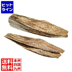 vGgy11/25 24Ԍ蓖Im21I1ő100%|CgobNz@ ݗm VR |^ 敽؃^Cv  1kg(100)