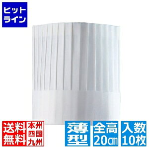 PAL �p���X�n�b�g(10����)PH-201NT ���^ 20cm