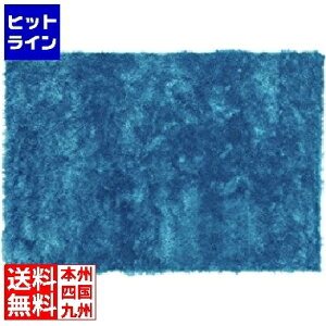 �v�G���g���y5/15���蓖�I�m��2����1�I1���ő�100%�|�C���g�o�b�N�z�@ ���J �V���M�[���O RG-22BL
