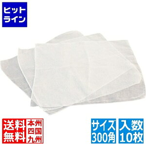 ~[t@ K[[ Jbgz (10)300p BDS3101