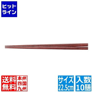 vGgy12/1蓖Im21I1ő100%|CgobNz@ VR ~ߎdl(10V) 22.5cm 