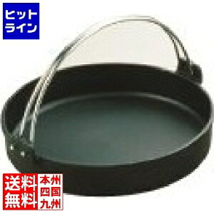 vGgy11/10蓖Im21I1ő100%|CgobNz@ R[|[V gL S₫ ct 24cm QSK35024