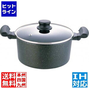 eCPCWC IH et}[uR[g  20cm  IHΉ IH (100V/200V)ƃKXΑΉ ALY6801