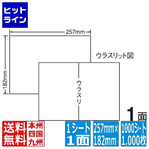 y}\z11/11 AM1:59܂ C1B5(VP) iiRs[ m }`^Cvx ^bNx [U[ECNWFbg iix 182×257mm m[Jbg 1ʕt 1000V[g