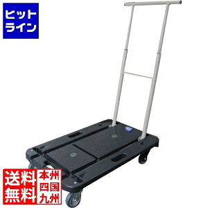 �v�G���g���y12/15 24���Ԍ��蓖�I�m��2����1�I1���ő�100%�|�C���g�o�b�N�z�@ �i���V�� �R���p�N�g�L�����[ CC-211K HKY5301