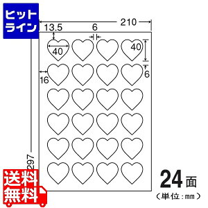 iiNGCg J[CNWFbgv^p򃉃x 40mm×40mm A4 210mm×297mm 400V[g(80V[g×5) SCJ61