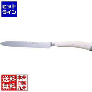 vGgy12/5 24Ԍ蓖Im21I1ő100%|CgobNz@ HXgt NbVbNACR \[Z[WiCt 4126-0 14cm ABO4401