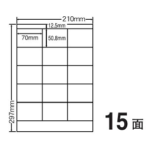 vGgy11/25 24Ԍ蓖Im21I1ő100%|CgobNz@ iiNGCg J[CNWFbgv^p򃉃x 70mm×50.8mm A4 210mm×297mm 400V[g(80V[g×5) SCJ13