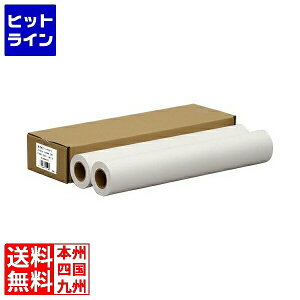 �v�G���g���y12/20 24���Ԍ��蓖�I�m��2����1�I1���ő�100%�|�C���g�o�b�N�z�@ ���쐻�쏊 H01B ���ʎ��x�[�V�b�N�^�C�v 594mm*45m 2R H049681