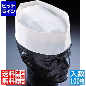 vGgy12/5 24Ԍ蓖Im21I1ő100%|CgobNz@ PAL tH[Wnbg n A95000 (100) SHT24