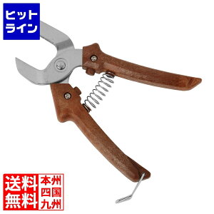 vGgy11/25 24Ԍ蓖Im21I1ő100%|CgobNz@ Ȃ񊄂 2303960