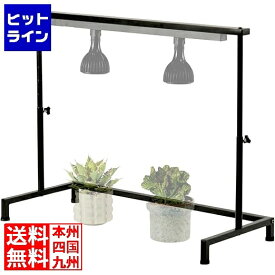 要エントリ【12/15 24時間限定当選確率2分の1！1等最大100%ポイントバック】　 ビザールプランツライトスタンド LPS-800-BK 観葉植物 植物育成ライト 多肉植物 棚 ライト 台 フラワースタンド プランタースタンド 塊根植物 室内