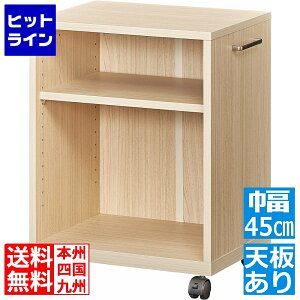 fXNTChS Y LX^[t A4TCY [ fXN ItBXS t 45cm V i` ItBXR2 ONA-6045W NA