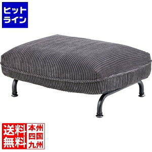 �v�G���g���y12/20 24���Ԍ��蓖�I�m��2����1�I1���ő�100%�|�C���g�o�b�N�z�@ ���J �I�b�g�}�� RKC-435GY