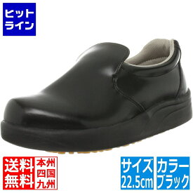 要エントリ【11/10限定当選確率2分の1！1等最大100%ポイントバック】　 弘進ゴム 弘進 シェフメイトスニーカーα-100 黒 22.5cm