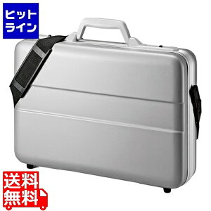 �T�����T�v���C ABS�n�[�hPC�P�[�X BAG-ABS5N2