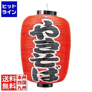 vGgy12/5 24Ԍ蓖Im21I1ő100%|CgobNz@ RX rj[ 255 ₫ 12 3745300