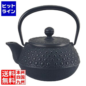岩鋳 南部鉄 急須 亀甲型 0.3L(3型)12303 1696410