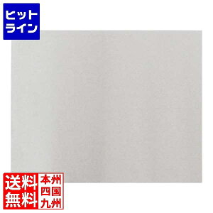 �e�C�P�C�W�C �N�[�����O�v���[�g 1/2 CT101 NKC7904